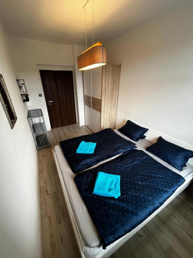 Large 3 Bedroom Apartment With City Skyline View Karlovy Vary Extérieur photo