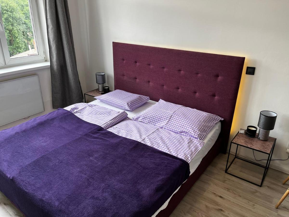Large 3 Bedroom Apartment With City Skyline View Karlovy Vary Extérieur photo