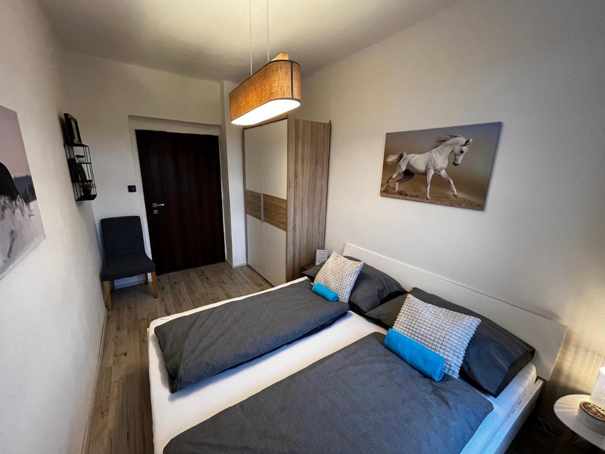 Large 3 Bedroom Apartment With City Skyline View Karlovy Vary Extérieur photo