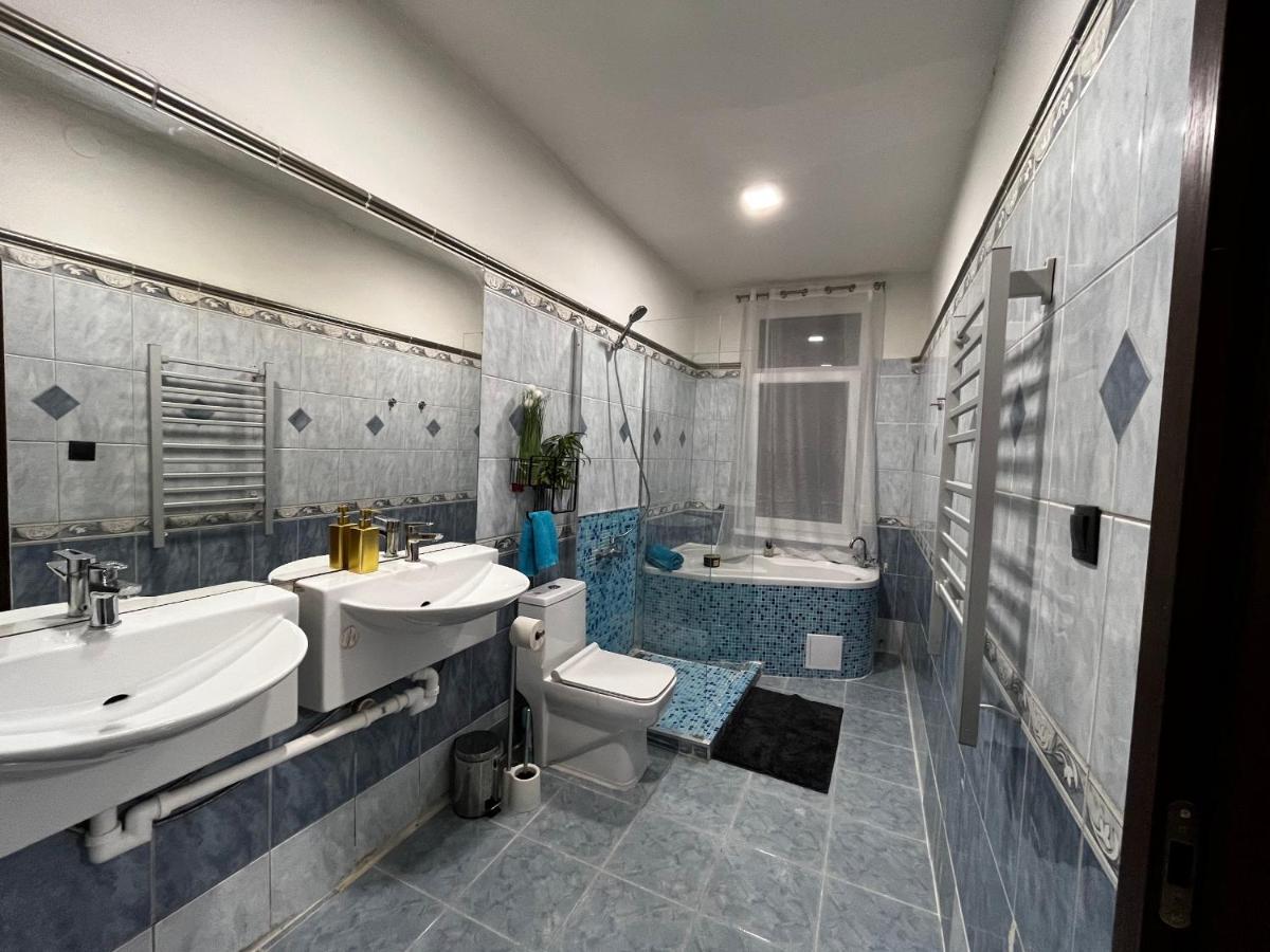 Large 3 Bedroom Apartment With City Skyline View Karlovy Vary Extérieur photo
