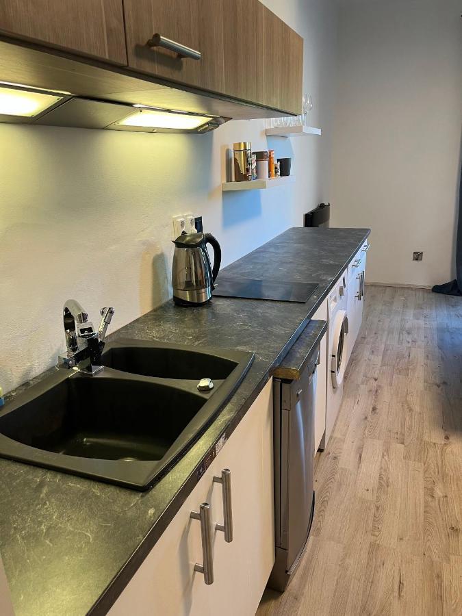 Large 3 Bedroom Apartment With City Skyline View Karlovy Vary Extérieur photo